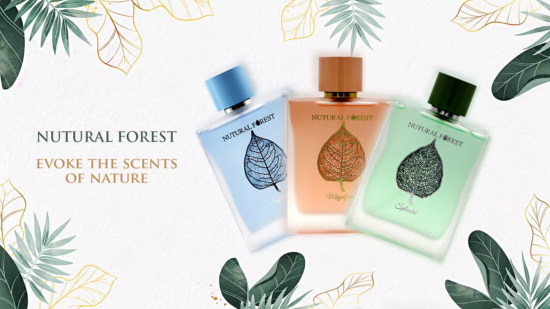 natural forest nutural forest perfume fragrance