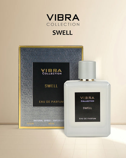 DIVINA VIBRA SWELL EDP PERFUME FOR MEN 100ML