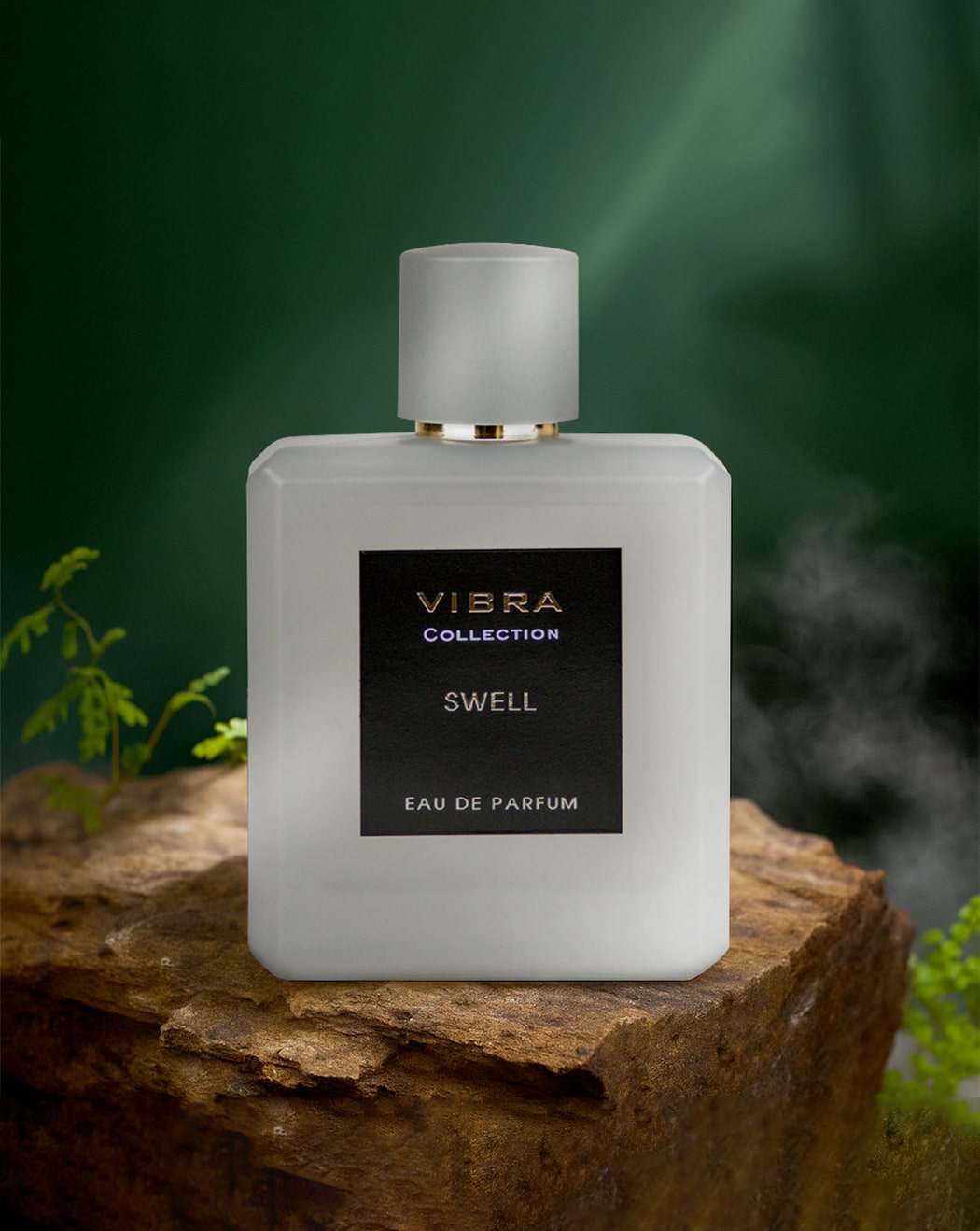 DIVINA VIBRA SWELL EDP PERFUME FOR MEN 100ML