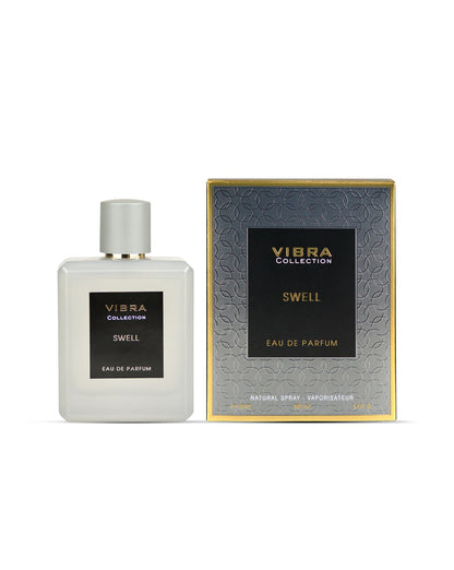 DIVINA VIBRA SWELL EDP PERFUME FOR MEN 100ML
