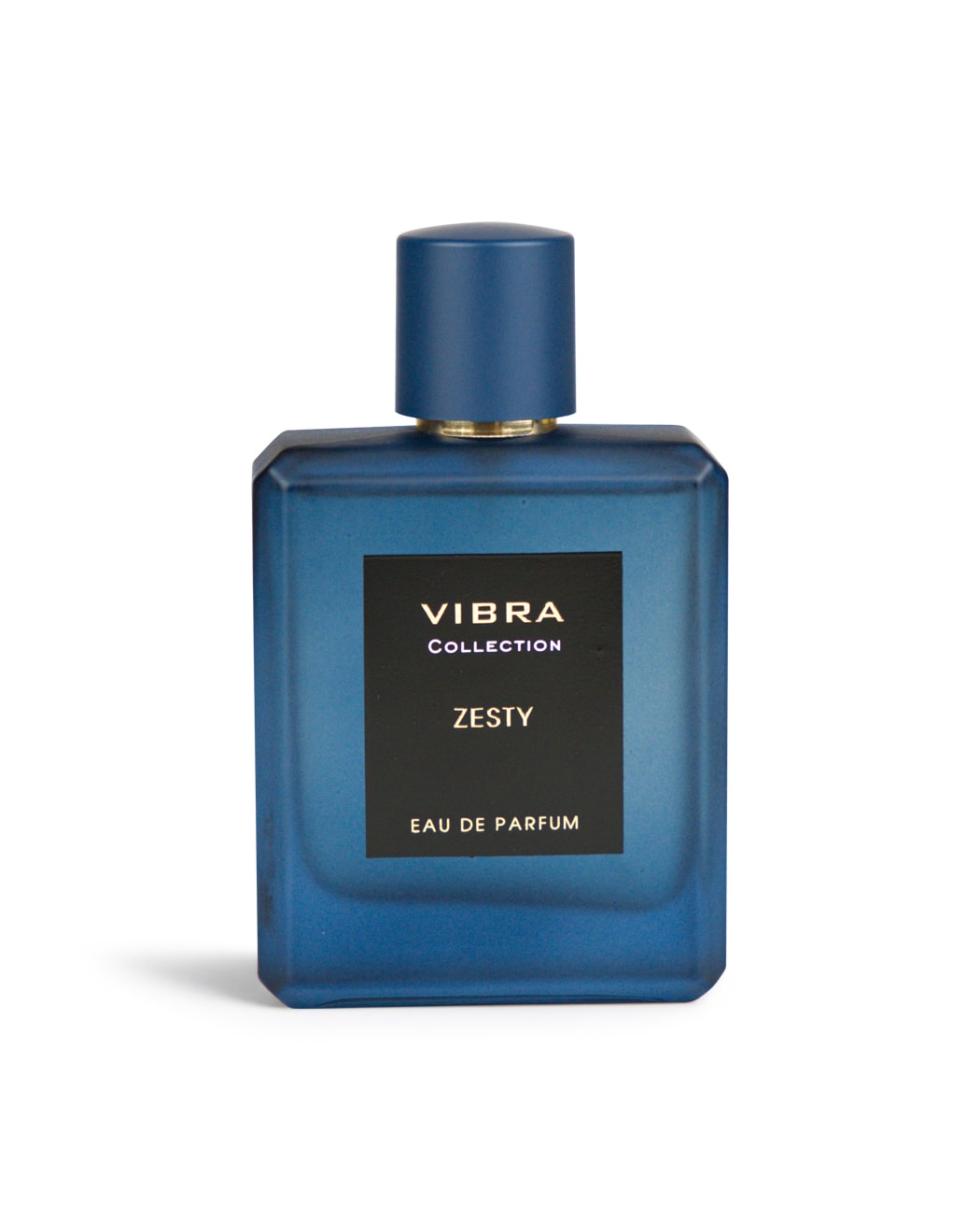 DIVINA VIBRA ZESTY EDP MEN PERFUME 100ML