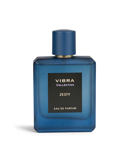 DIVINA VIBRA ZESTY EDP MEN PERFUME 100ML