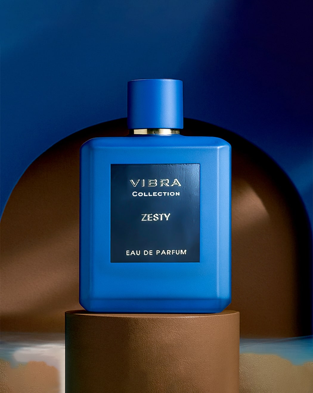 DIVINA VIBRA ZESTY EDP MEN PERFUME 100ML