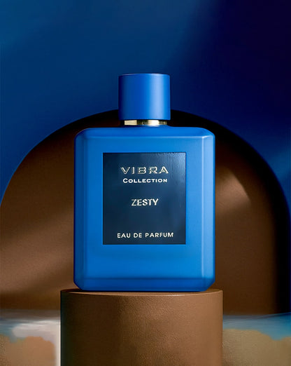 DIVINA VIBRA ZESTY EDP MEN PERFUME 100ML