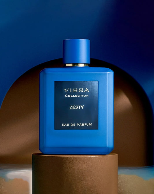 DIVINA VIBRA ZESTY EDP MEN PERFUME 100ML