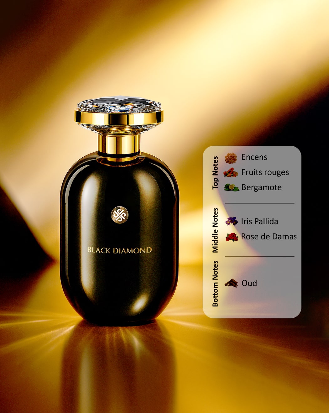 DIVINA BLACK DIAMOND EAU DE PARFUM FOR WOMEN 100ML