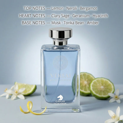 Versai Pour Homme Eau de Parfum – Aromatic Fougère Fragrance for Men | Long-Lasting Mediterranean Citrus Perfume | Sophisticated Aromatic Perfume | Men's Luxury Cologne | Fresh Lemon Bergamot Amber Musk Scent 100ml
