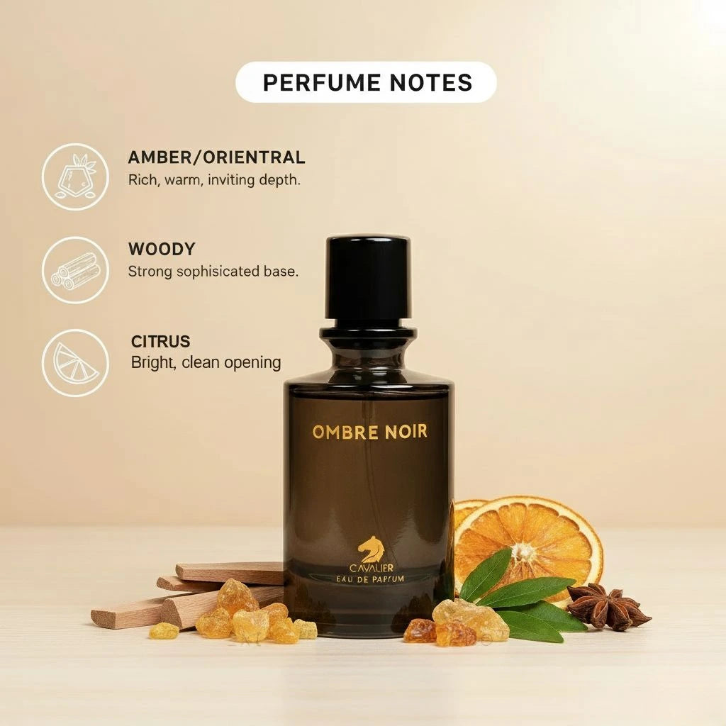 Ombre Noir Eau de Parfum – Long-Lasting Oud Perfume for Men & Women | Warm Spicy Fragrance | Unisex Oriental Perfume | Smoky Sandalwood Amber Scent | Luxury Evening Fragrance 100ml