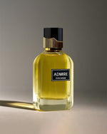 DIVINA ADMIRE POUR HOMME EDP 100ML FOR MEN - Linea De Bella | Divina Perfumesperfumefragrance