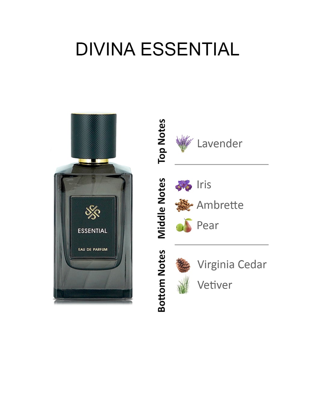 DIVINA ESSENTIAL EAU DE PARFUM FOR MEN 100ML