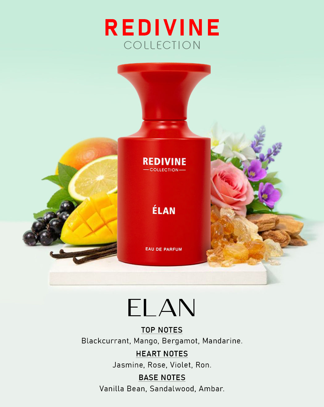 REDIVINE ELAN LONG-LASTING FRUITY FLORAL WOMEN PERFUME EDP 100ML BY ANTEROS