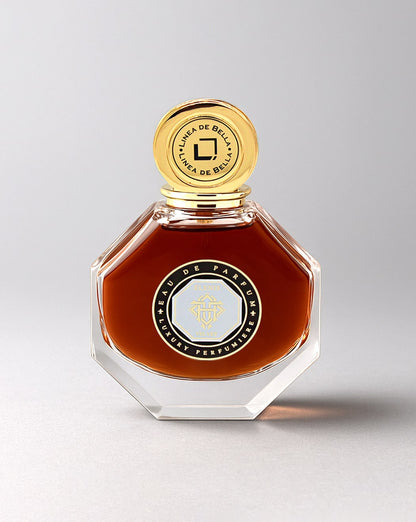 ELENIS VELVET EDP MEN 100ML