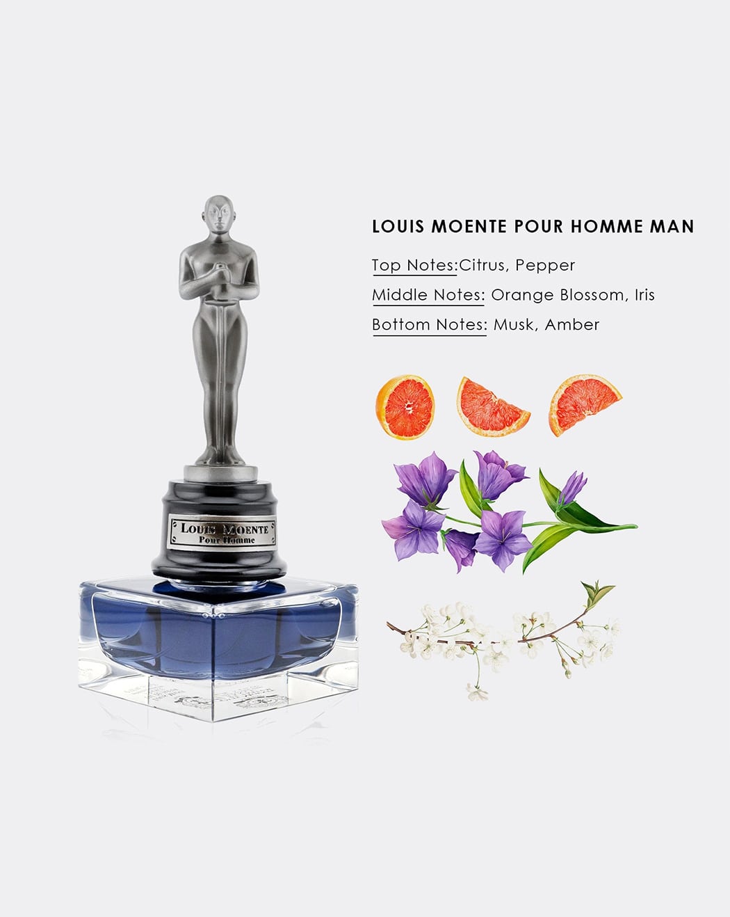 LOUIS MOENTE POUR HOMME MEN 100ML